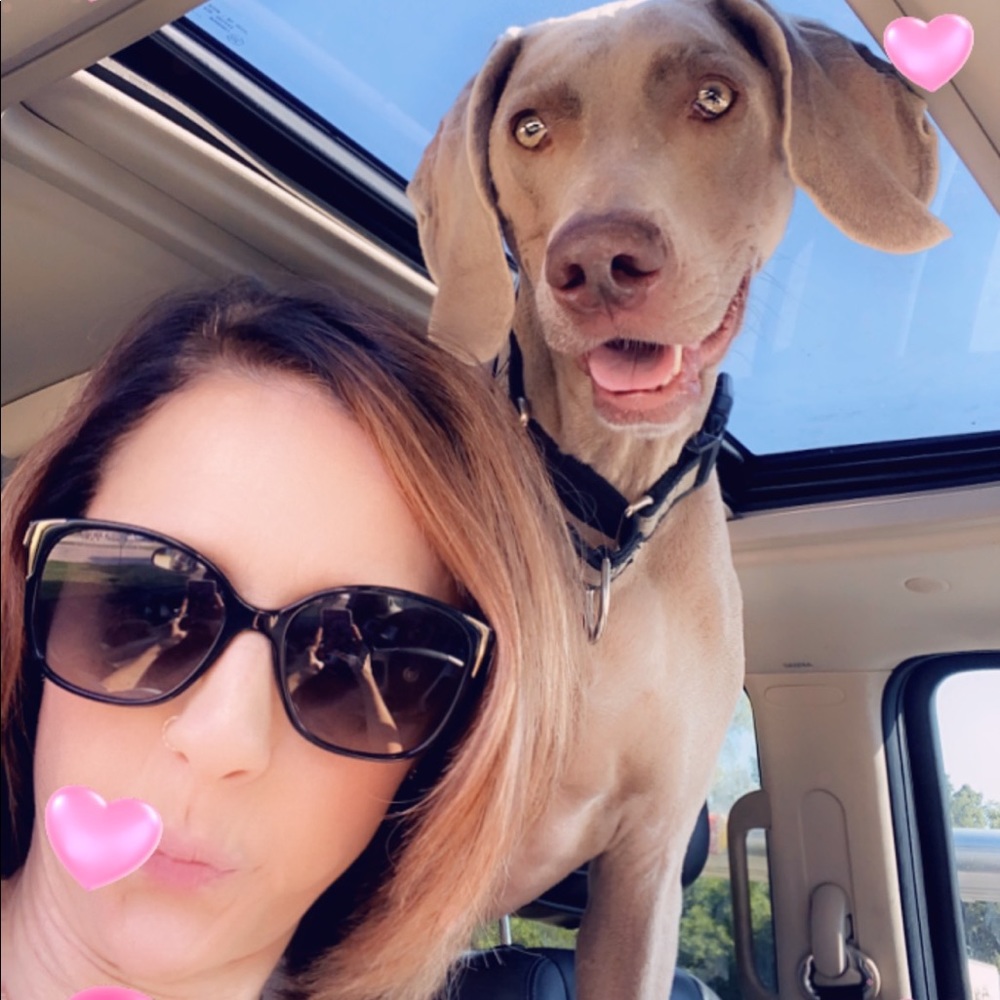 My best friend Zeus